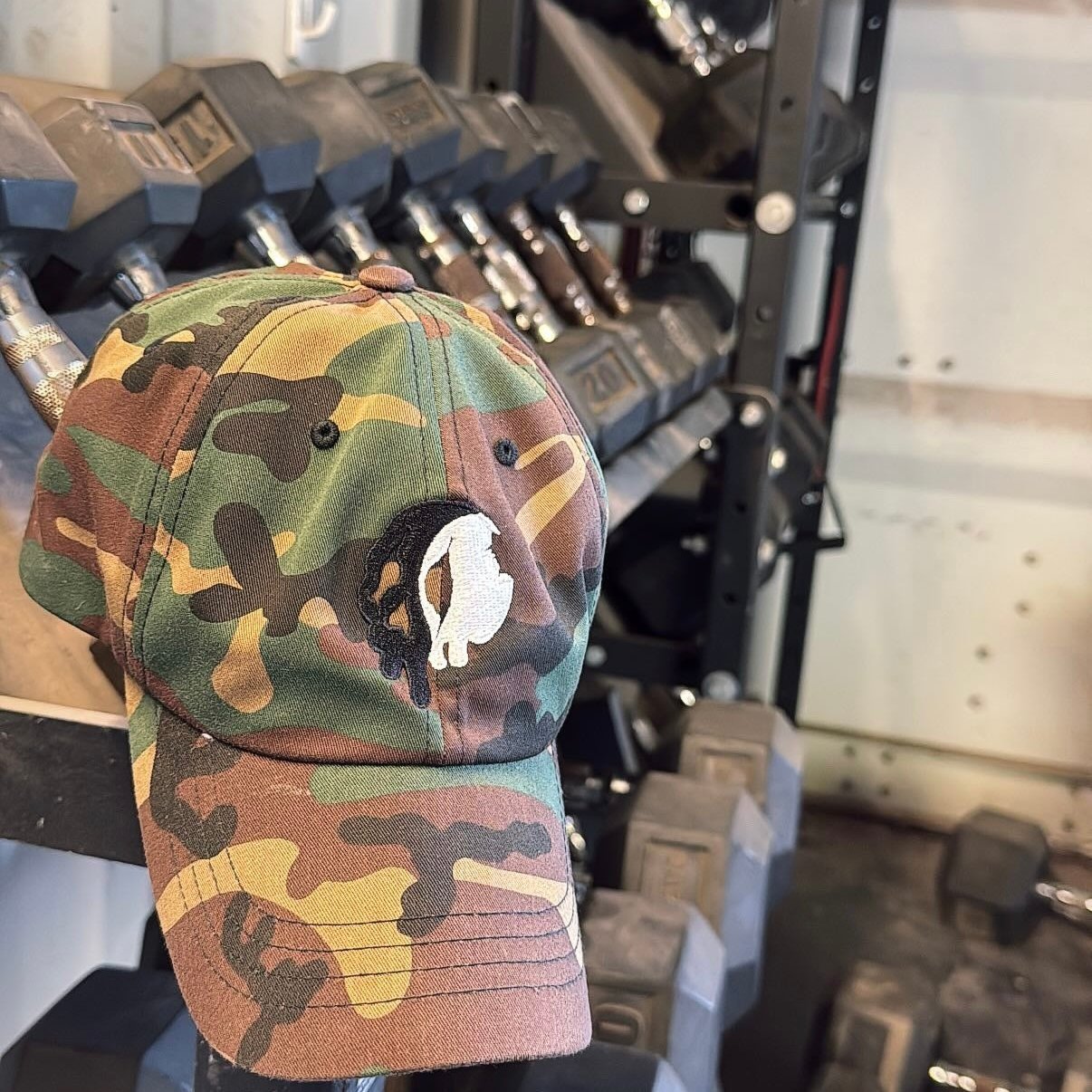 OG Logo Camo Dad Hat